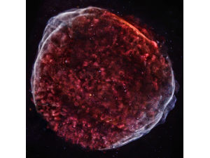 SN 1006: космический гобелен возрастом в тысячу лет SN 1006: космический гобелен возрастом в тысячу лет