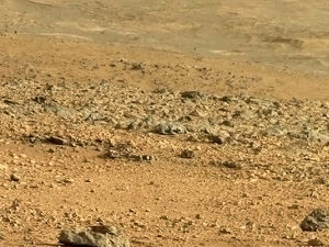Прыткая ящерица пробралась на Марс, чтобы позировать на камеру ровера Curiosity