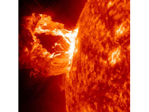 поле - Солнечные цунами позволили замерить магнитное поле Солнца 4233