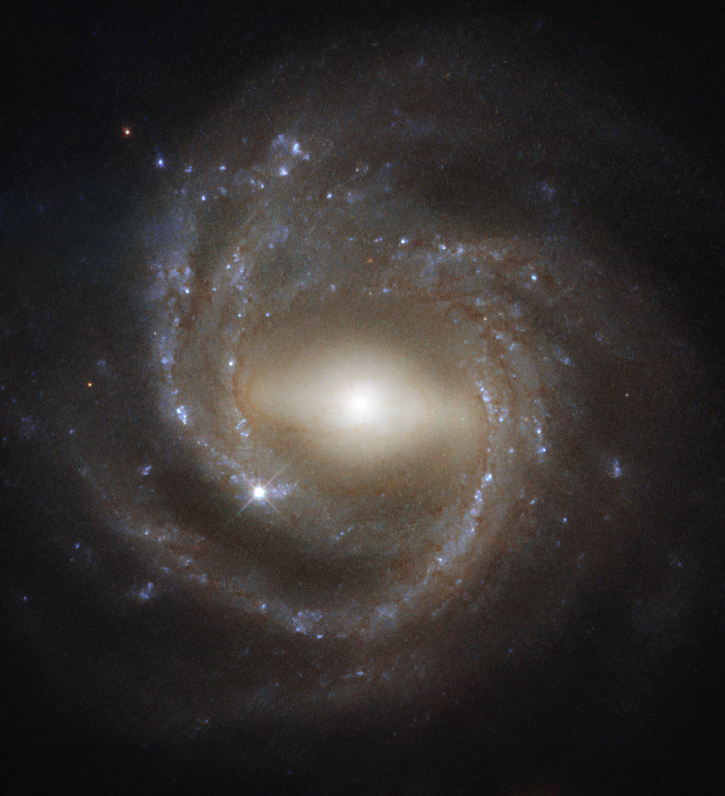 Снимок: «Хаббл» запечатлел гипнотизирующий вид зрелой спиральной галактики